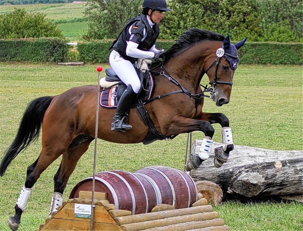 Nussdorfer Reiter verkrampfen