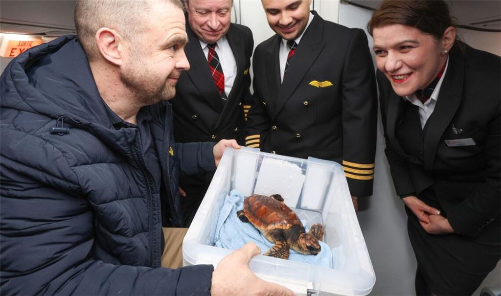 „Crush“ reist mit.