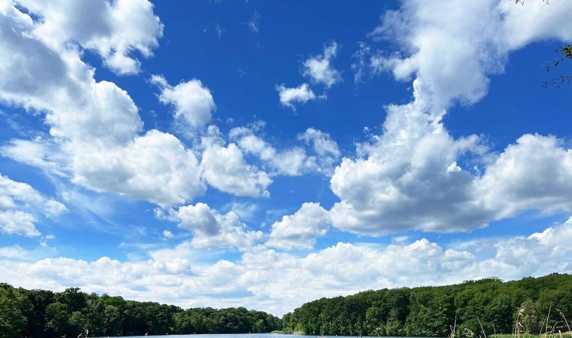 Einmal mitten in den Wolken sitzen Cumuluswolken sehen in der Ausstellung aus wie aus dem Bilderbuch.