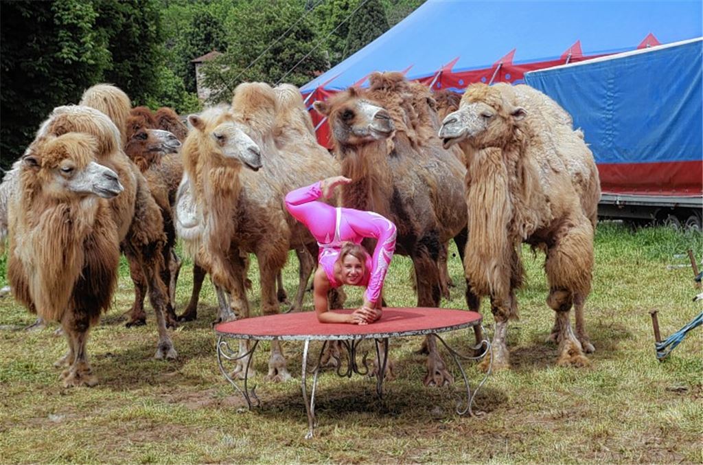 Da gucken sogar die Kamele ganz verblüfft: Das 19-jährige Schlangenmädchen Neyenne verfügt über eine erstaunliche Gelenkigkeit. Foto: Sadler