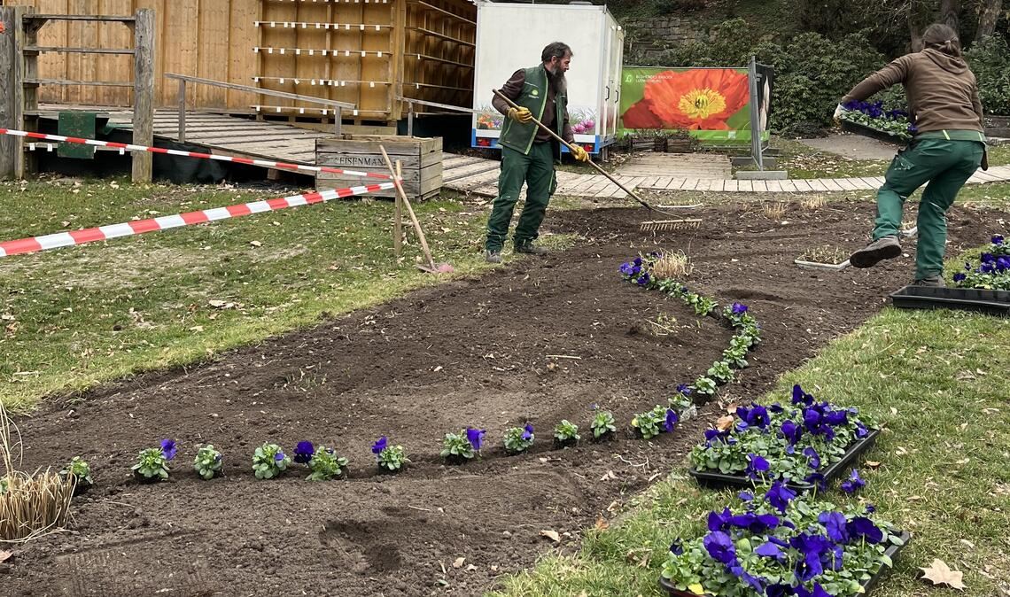 Damit es herrlich blüht, ist im Vorfeld viel Arbeit des Teams um Petra Herrling nötig. Fotos: Blühendes Barock Gartenschau Ludwigsburg GmbH