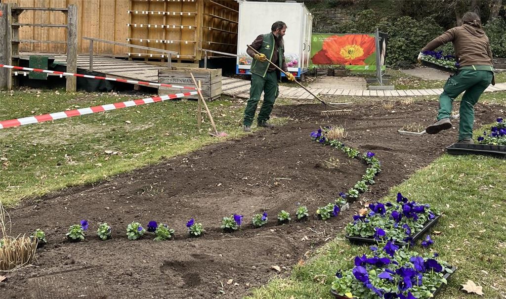 Damit es herrlich blüht, ist im Vorfeld viel Arbeit des Teams um Petra Herrling nötig. Fotos: Blühendes Barock Gartenschau Ludwigsburg GmbH