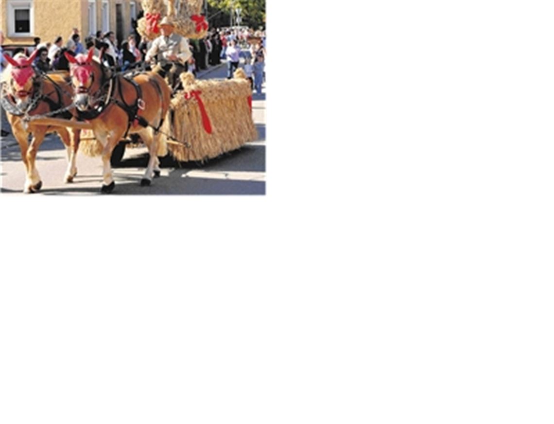 Darf am Sonntag in Ölbronn auf keinen Fall fehlen: der traditionelle Erntewagen. Archivfoto: Stahlfeld