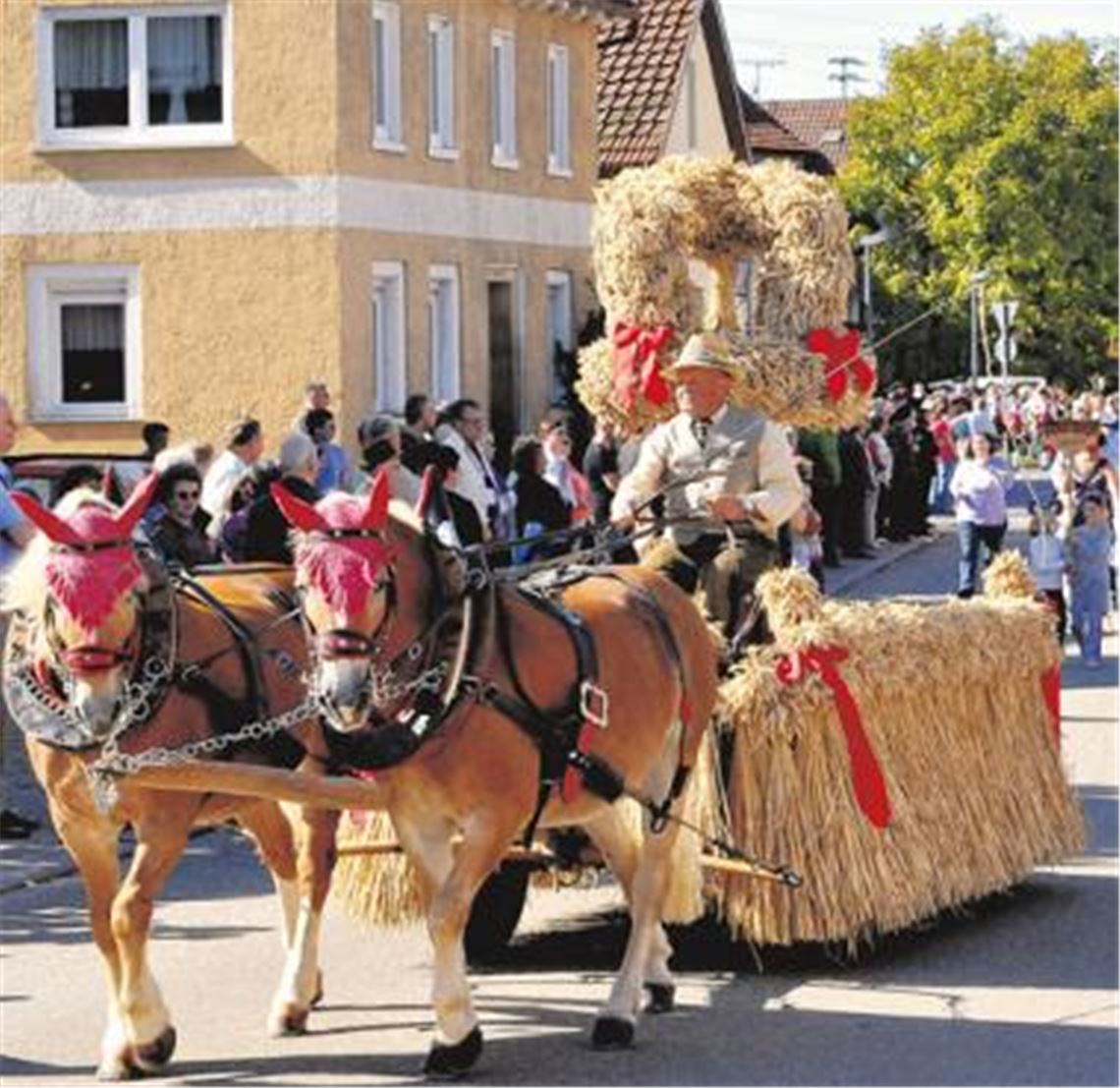 Darf auf keinen Fall fehlen: der traditionelle Erntewagen. Fotos: Stahlfeld