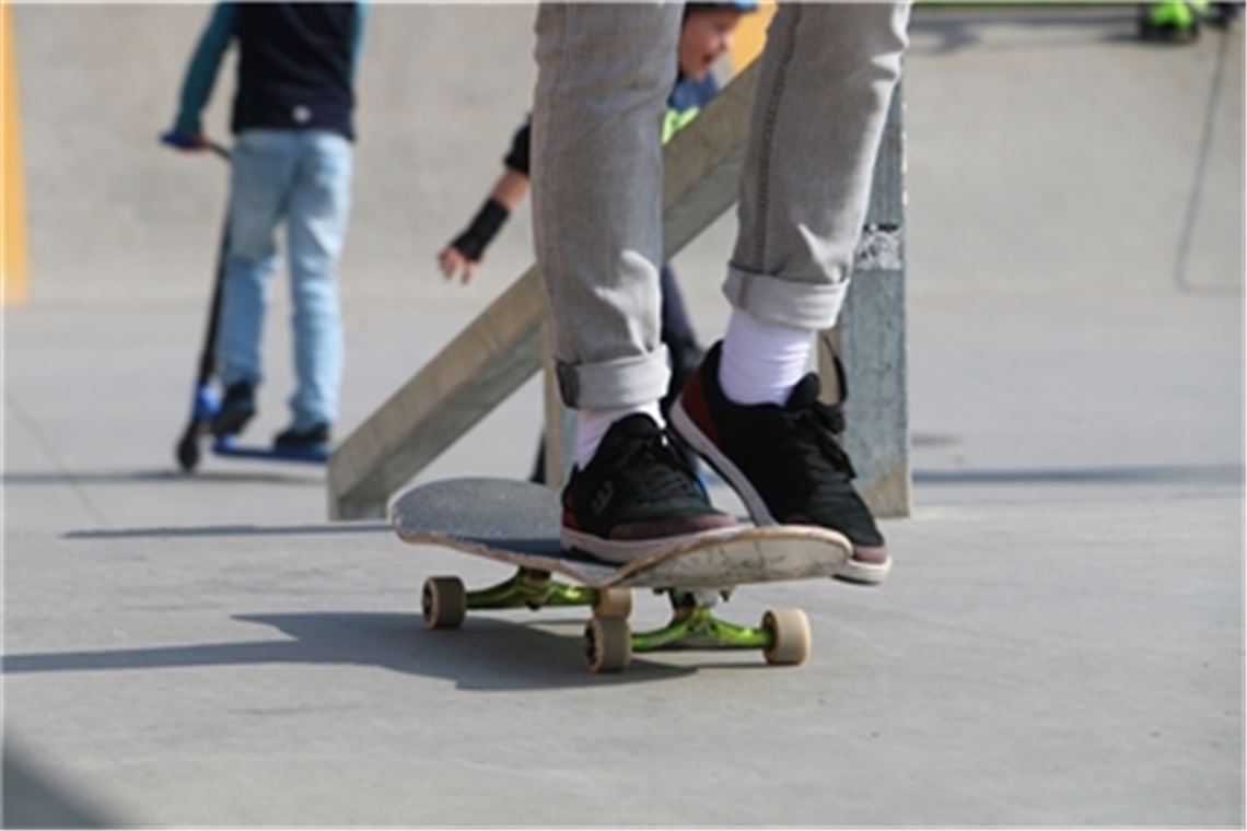 Das Amtsgericht Pforzheim verhandelt den Fall eines jungen Trios, das auf dem Skaterplatz einen Familienvater brutal attackiert hat. Foto: Archiv