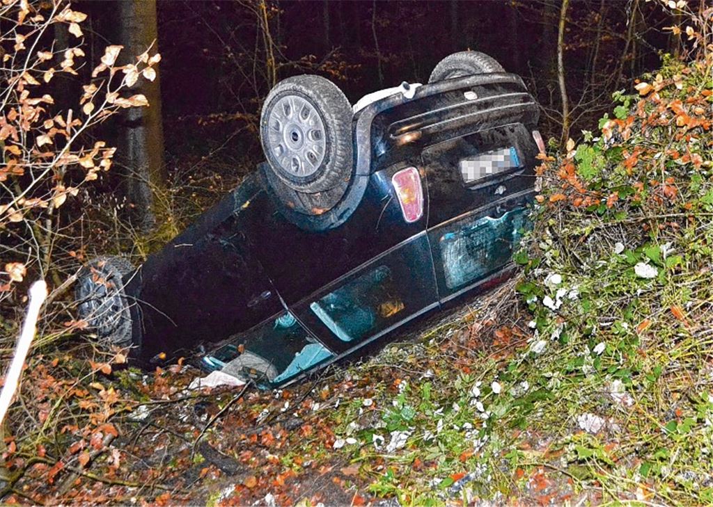 Das Auto landet auf dem Dach. Foto: myro