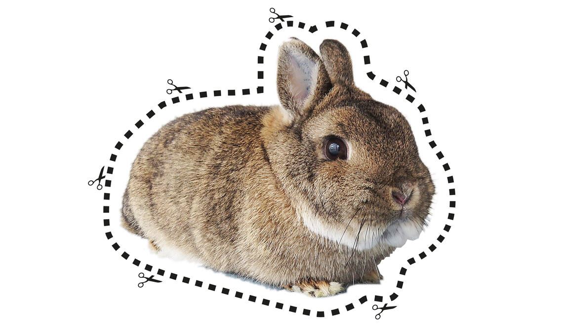 Das Beispiel „Fanny“. In unserer gedruckten Ausgabe stehen vier Models als Ausschneide-Option zur Verfügung.