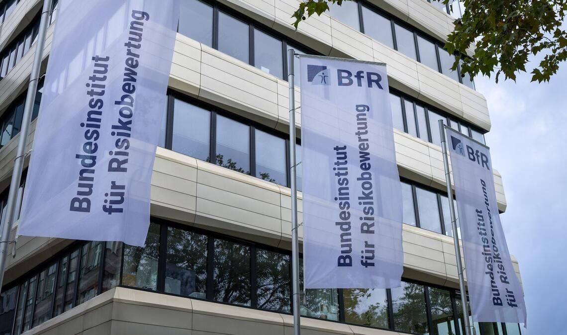 Das BfR sieht bei bestimmten Mandeldrinks ein mögliches Gesundheitsrisiko für Kinder. (Symbolbild)