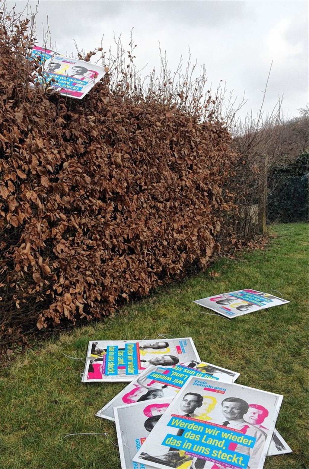 FDP-Plakate landen nachts im Garten