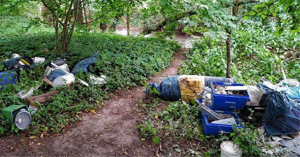 Wilde Müllhalde am Enzufer