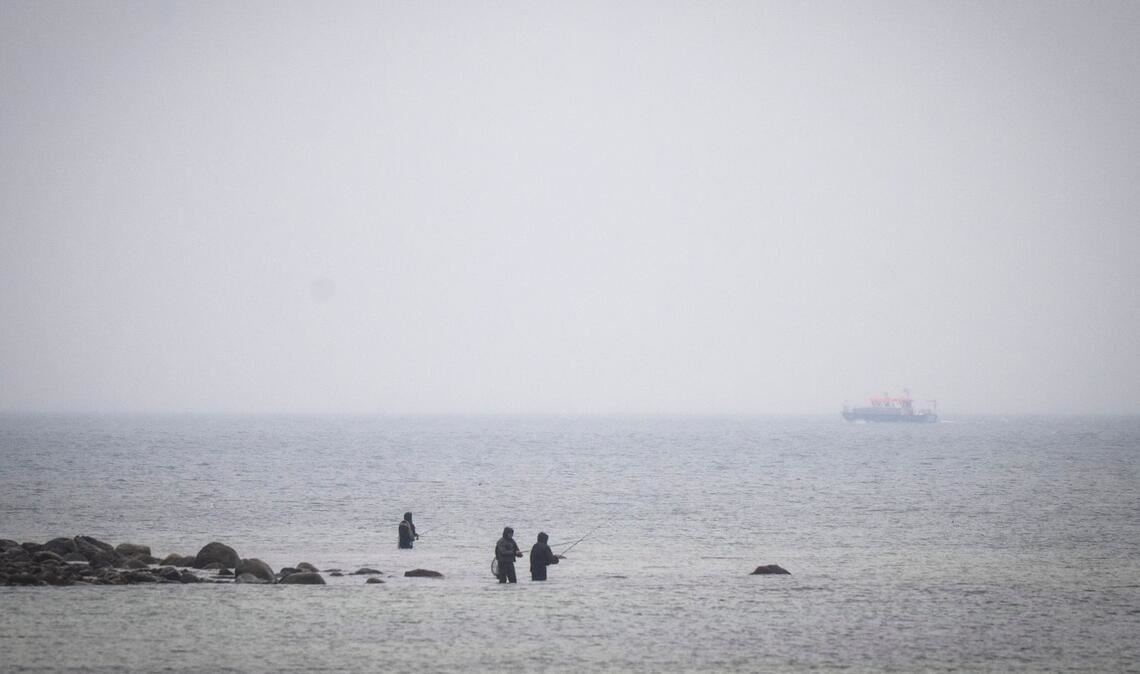 Das Boot "Uecker" von der Wasserschutzpolizei suchte den Wal am Samstag an der Ostseeküste.