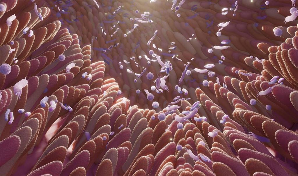 Das Darm-Mikrobiom ist ein natürlicher Schutz, das durch Antibiotika gestört werde kann, mit denen bei einer Therapie das Wachstum krankheitserregender Bakterien gehemmt werden soll.