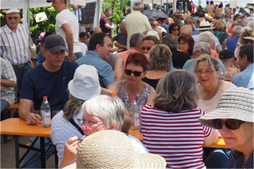 Das Eichelbergfest: Sommerliches Wetter, gute Stimmung und volle Zelte. Foto: Müller