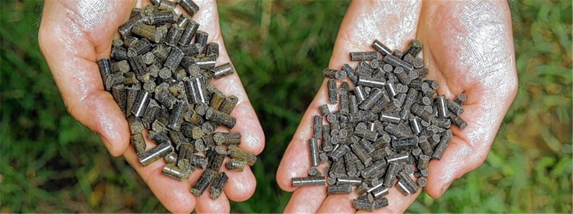 Das Endprodukt: In der Biomethananlage in den Waldäckern werden die Gärreste zu staubfreien Pellets verarbeitet, die künftig als rein pflanzlicher Dünger vermarktet werden sollen.Stahlfeld