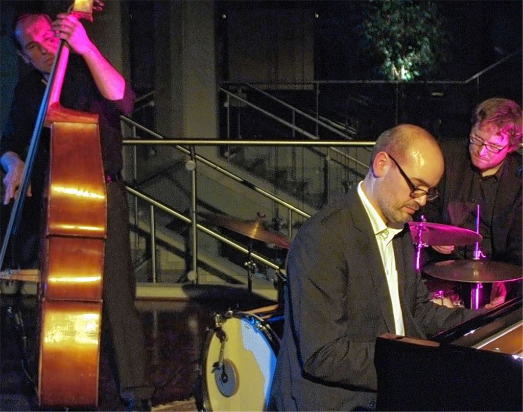 Das Frank-Muschalle-Trio begeistert mit seiner virtuosen und schnellen Spielart.