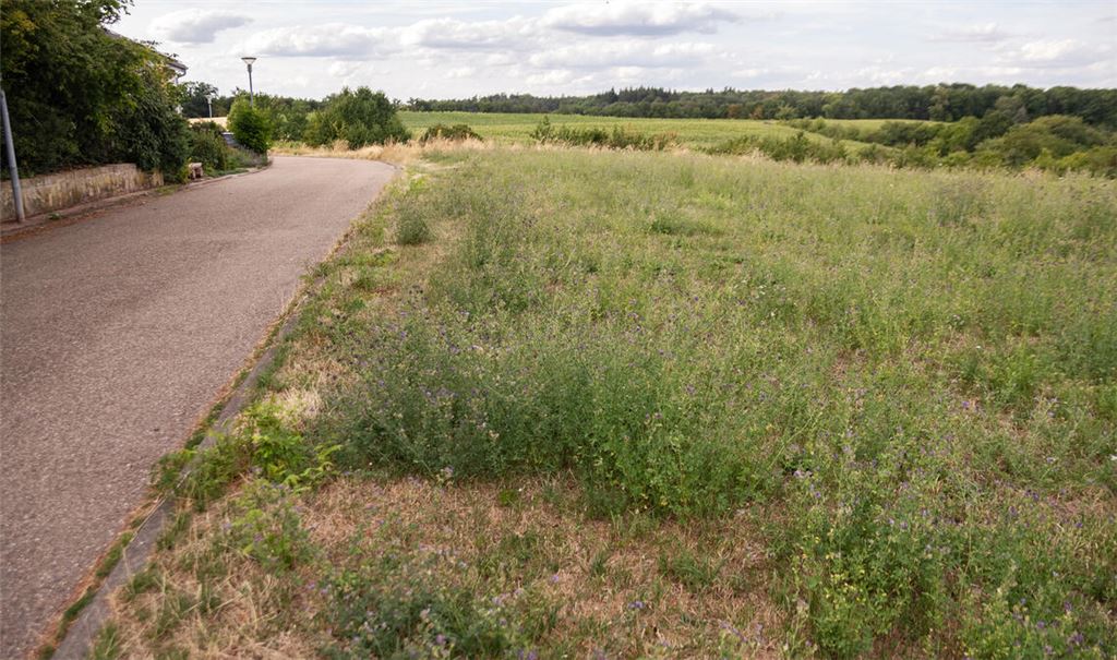 Das Gebiet „Rote Äcker“ in Sternenfels braucht ein neues Planverfahren. Foto: Fotomoment