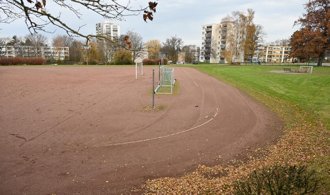 Das Grundstück am Strietweg, wo der Campus Buckenberg entstehen soll, befindet sich im Besitz der Stadt Pforzheim. Foto: Bott