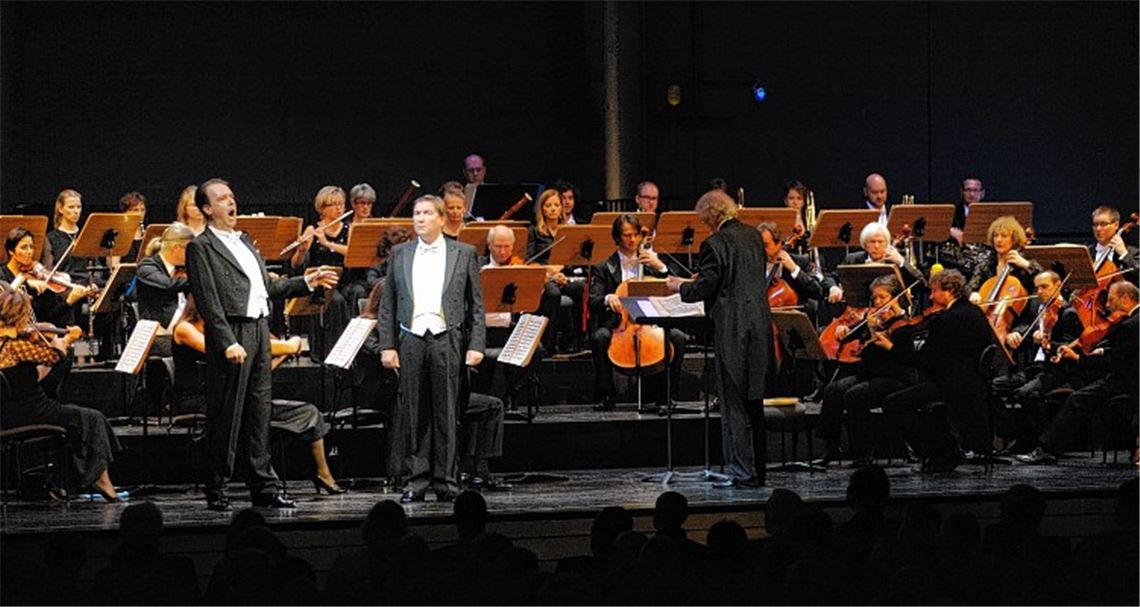 Das Heilbronner Sinfonie Orchester unter der Leitung von Peter Braschkat wird auch 2015 im Mühlehof zu hören sein.