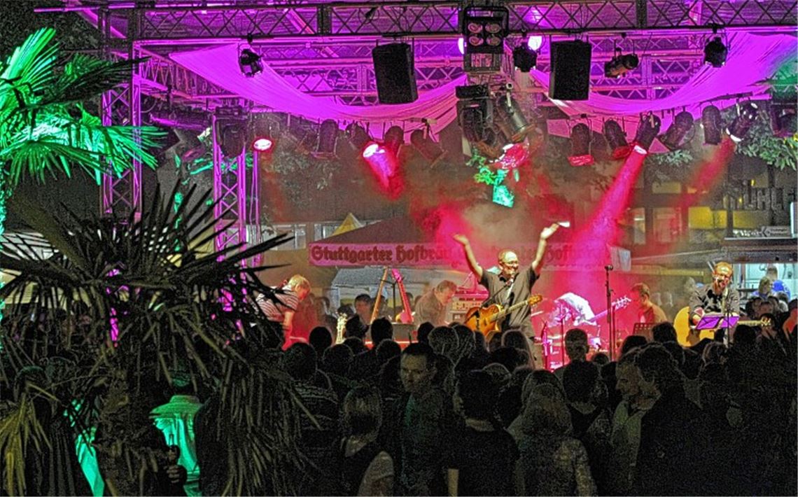 Das Holztrio und seine musikalischen Gäste wollen bei der Sommerlounge dem Publikum einheizen.