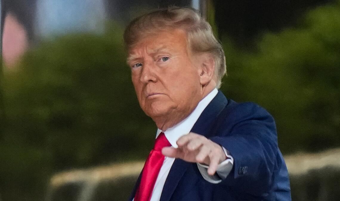 Das Insekt hat gelblich-weiße Schuppen auf dem Kopf, die den Biologen an die Frisur von Ex-US-Präsident Donald Trump erinnerten.
