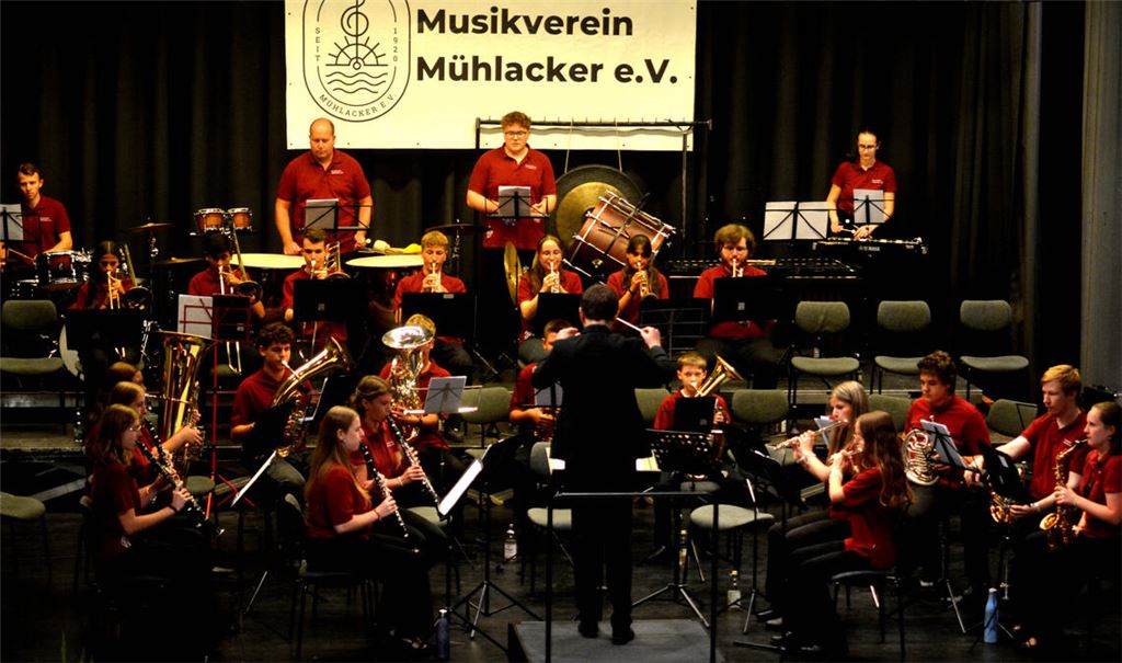 Das Jugendorchester des Musikvereins Mühlacker unter der Leitung von Lukas Bross. Fotos: Stahlfeld