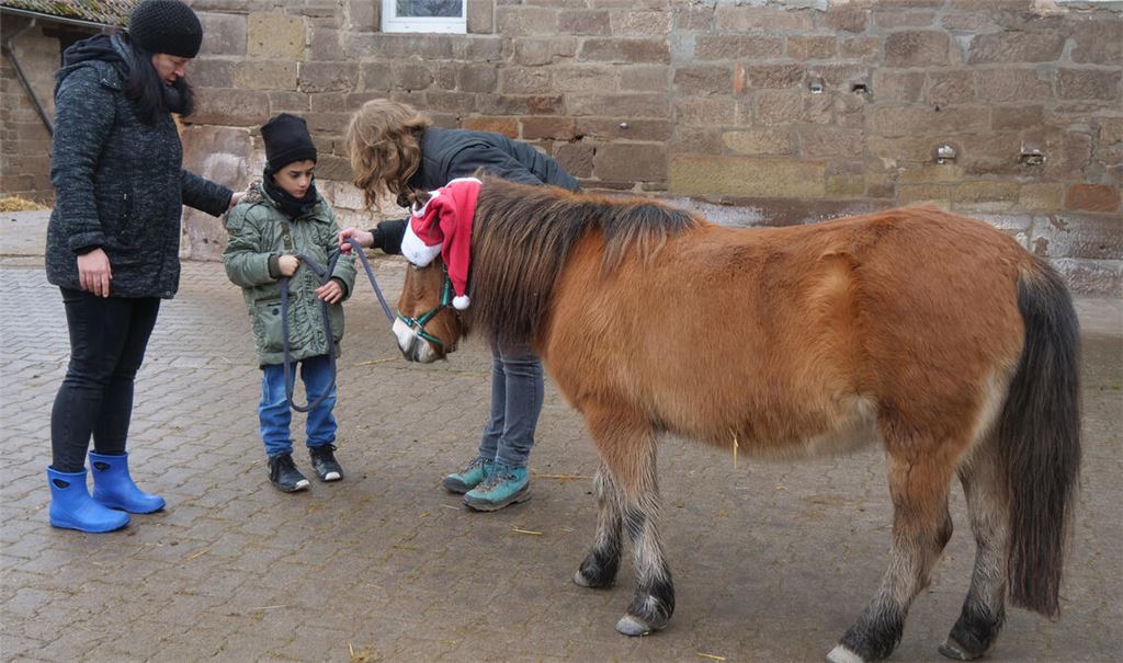 Das Kinderzentrum Maulbronn und die Helmut-und-Michael-Birkle-Stiftung bieten auf dem Scheuelberghof für junge Patientinnen und Patienten eine Pferdetherapie an. Foto: Friedrich