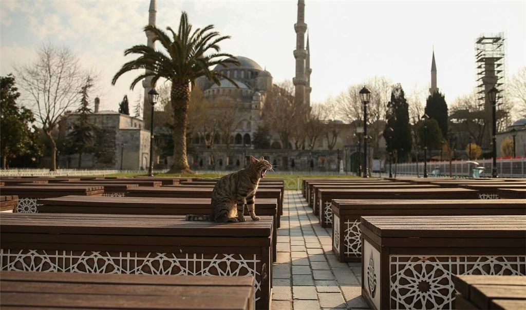 Das Kopftuch ist in der Türkei weiter umstritten, auch abseits von Gebetsstätten wie etwa die Blaue Moschee in Istanbul. (Archivbild)