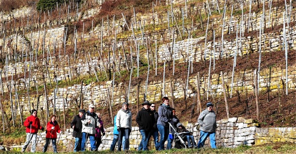 Gesammelte Ideen sollen weiter wachsen