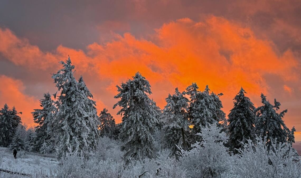 Das Licht der untergehenden Sonne beleuchtet die Wolken, die hinter den schneebedeckten Bäumen auf dem Feldbergplateau untergeht.