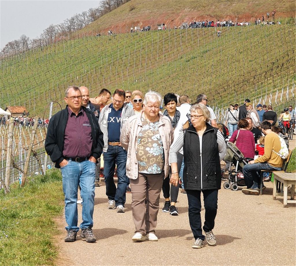 Tausende Besucher flanieren durch Weinberge