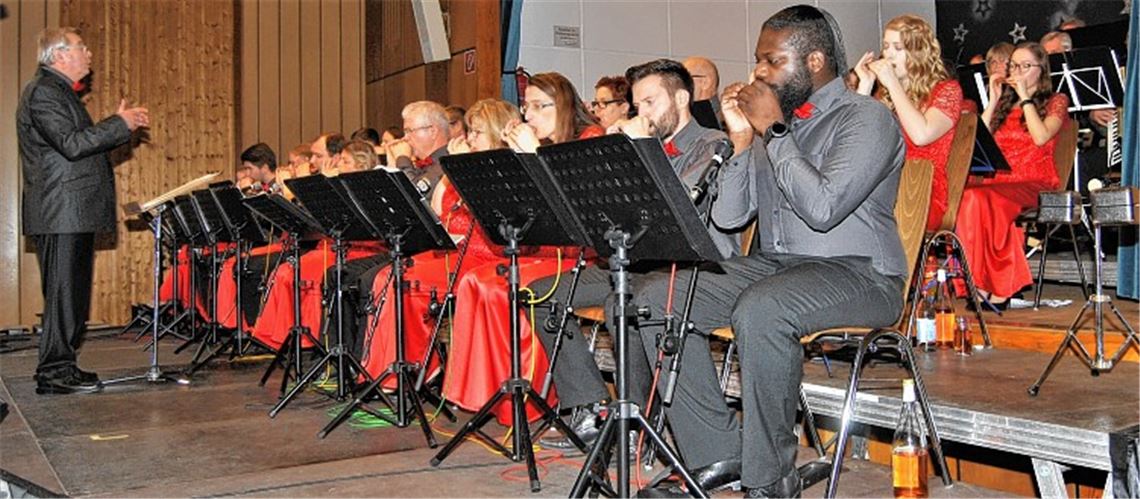 Das Mundharmonika-Orchester unterhält beim traditionellen Weihnachtskonzert in der Knittlinger Stadthalle das Publikum.Foto: Haller