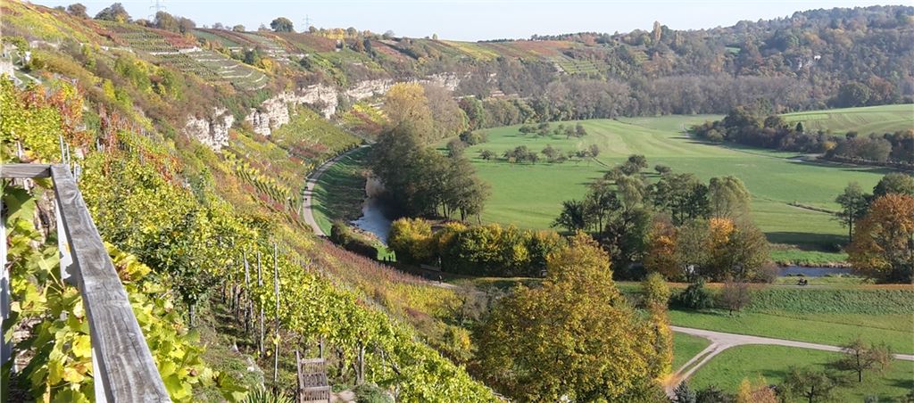 Das Naturschutzgebiet Felsengärten in Mühlhausen gilt als Refugium besonderer Güte. Die Frage, wer dortige Grünflächen am besten pflegt, hat zuletzt für Ärger gesorgt.Foto: Archiv