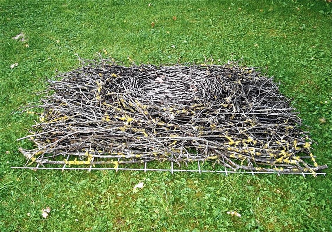 Das Nest für Knittlinger Störche ist schon vorbereitet. Ein Exemplar wurde am 7.August in der unmittelbaren Umgebung gesichtet.