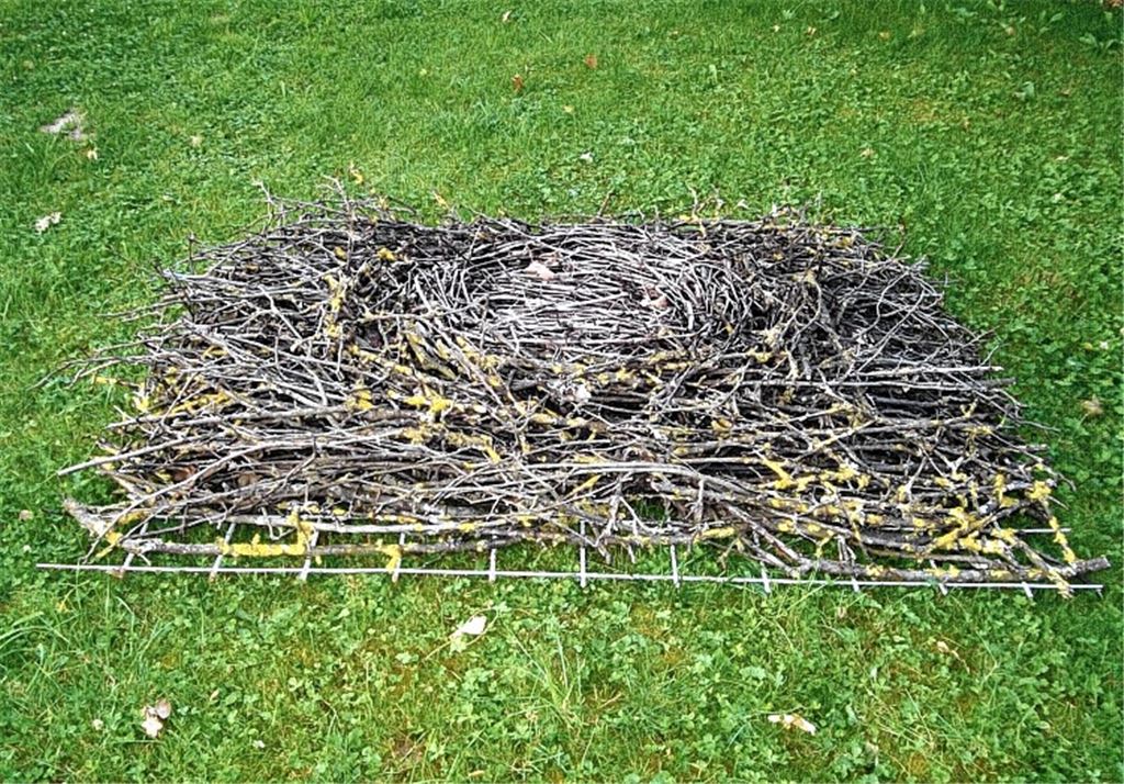 Das Nest für Knittlinger Störche ist schon vorbereitet. Ein Exemplar wurde am 7.August in der unmittelbaren Umgebung gesichtet.