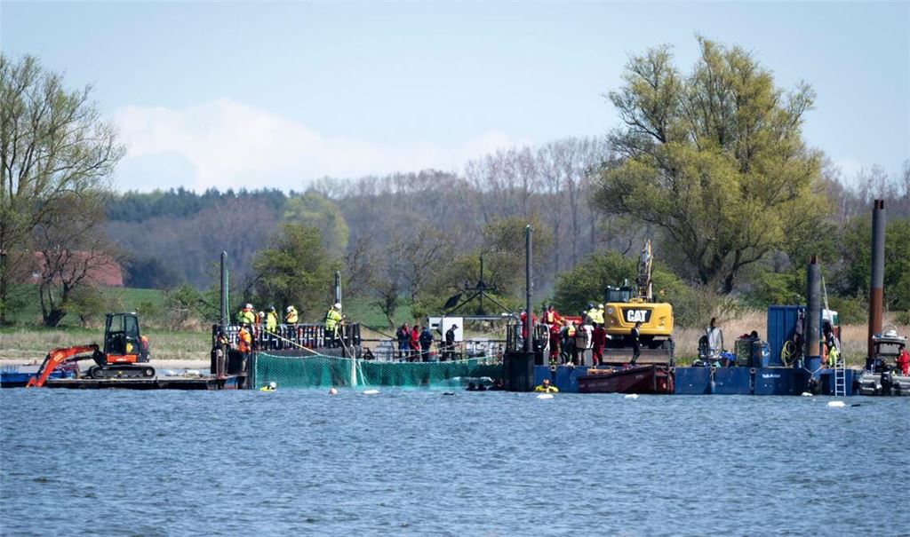 Das Netz ist runter: die Reise für den Buckelwal kann losgehen