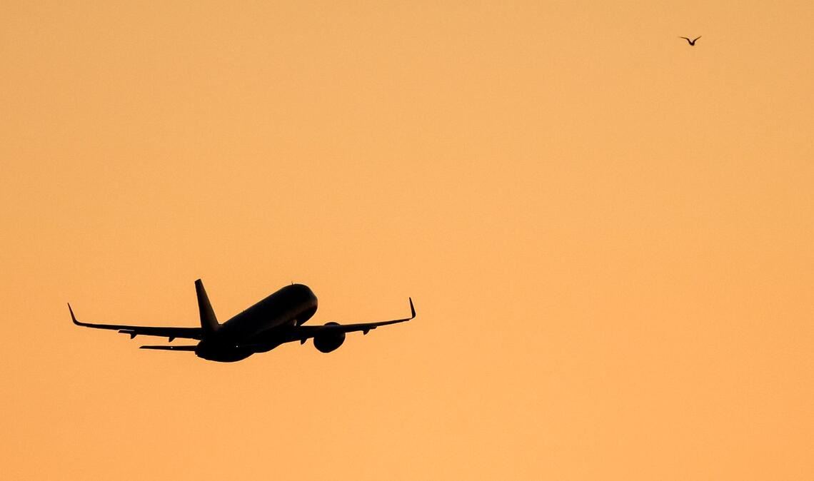 Das Paar soll sich auf dem Flug zwischen Panama und Argentinien kennengelernt haben. (Symbolbild)