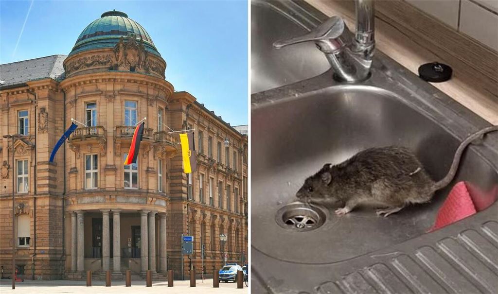 Das Polizeirevier am Karlsruher Marktplatz wurde von einer Ratte heimgesucht.