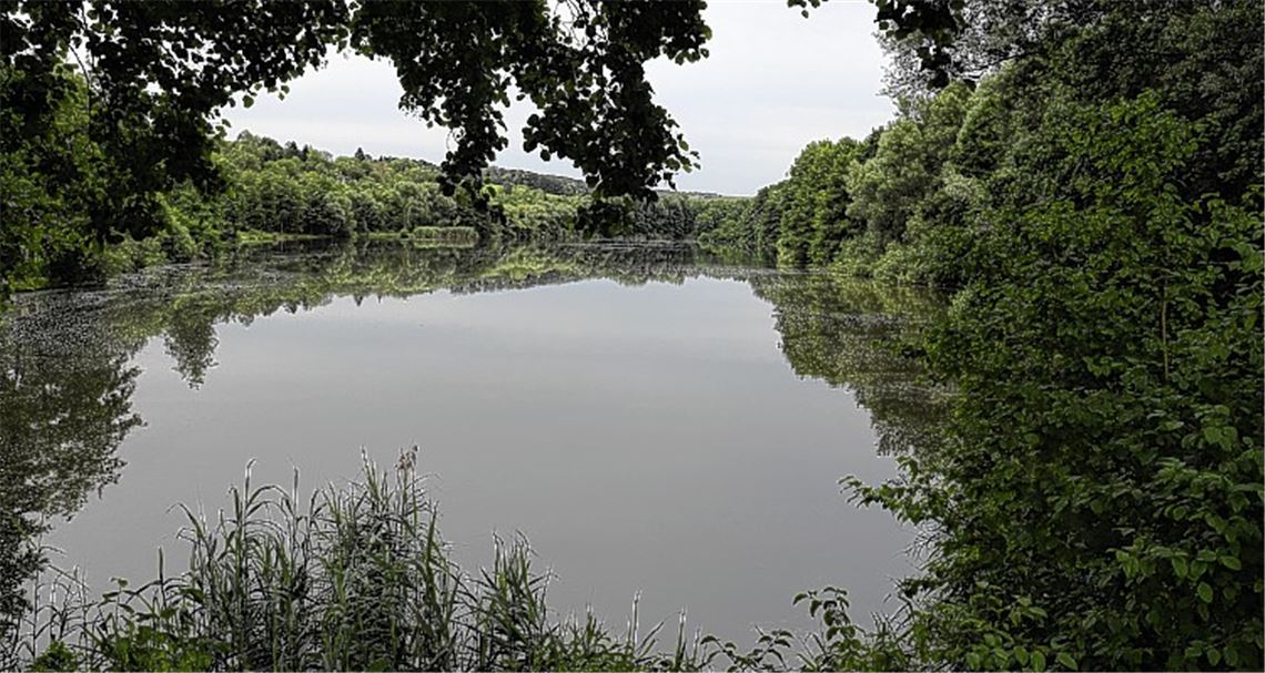 Gegen die Flut fließt Geld