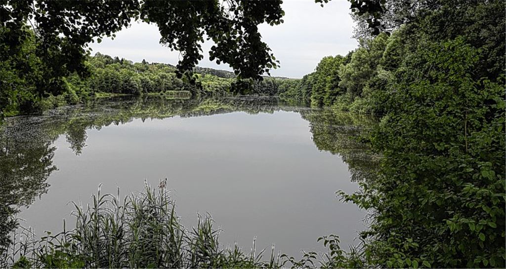 Gegen die Flut fließt Geld