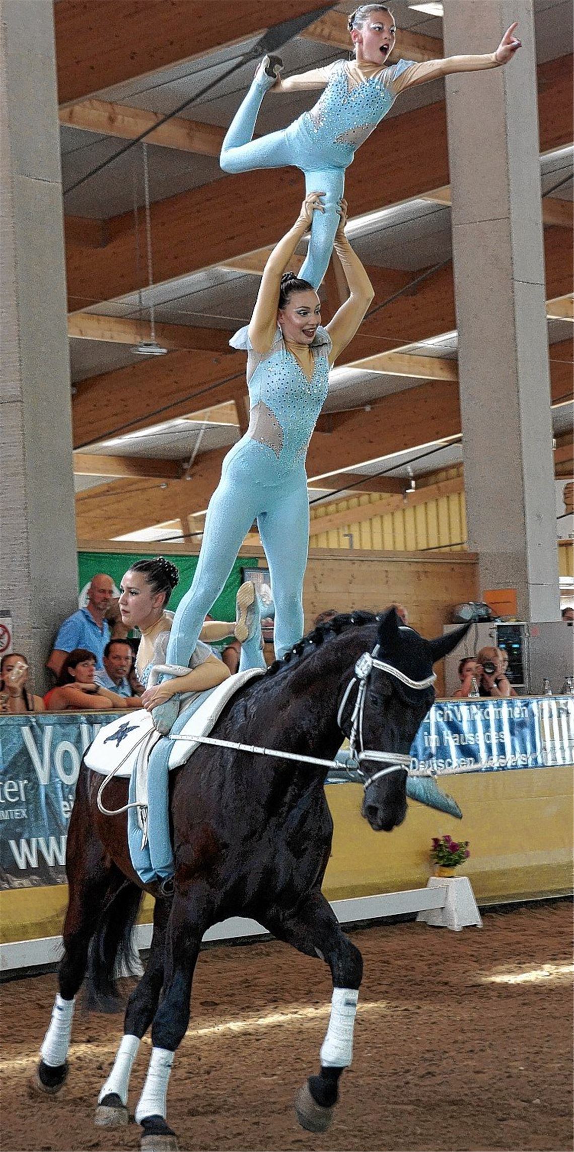 Silbermedaille und DM-Ticket für Pegasus
