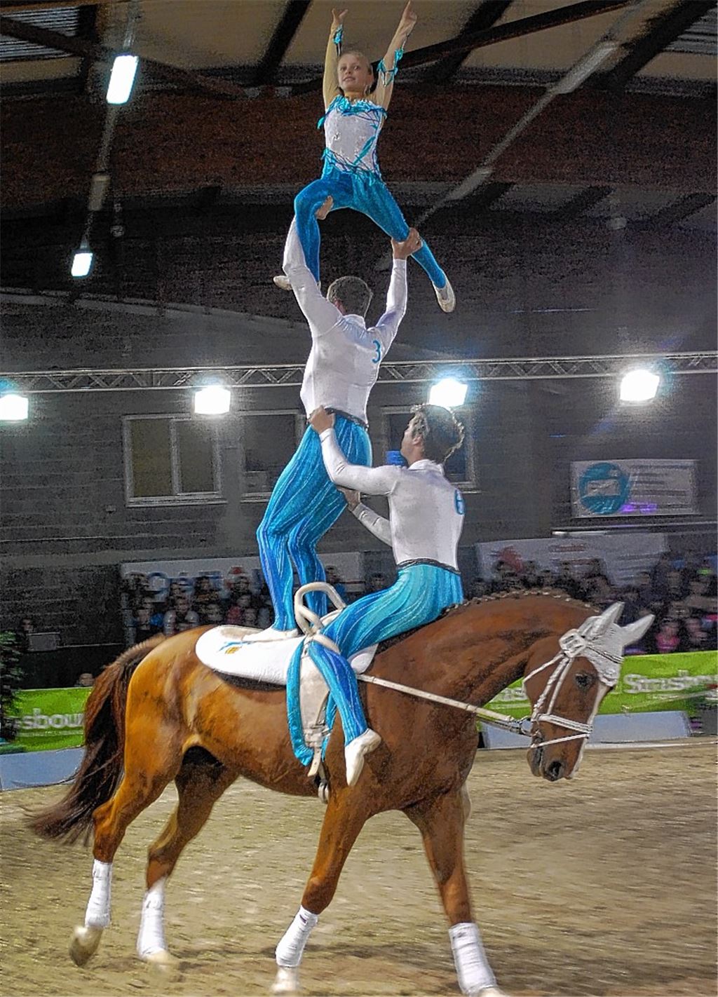 Das S-Team von Pegasus Mühlacker glänzt beim Turnier in Straßburg. Foto: privat