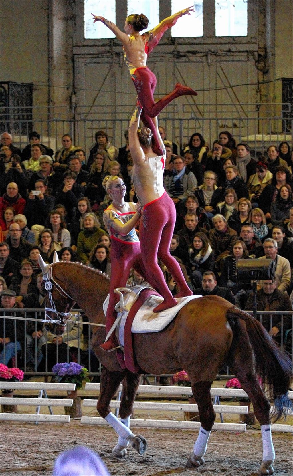 Pegasus-Voltigierer holen Bronze in Frankreich