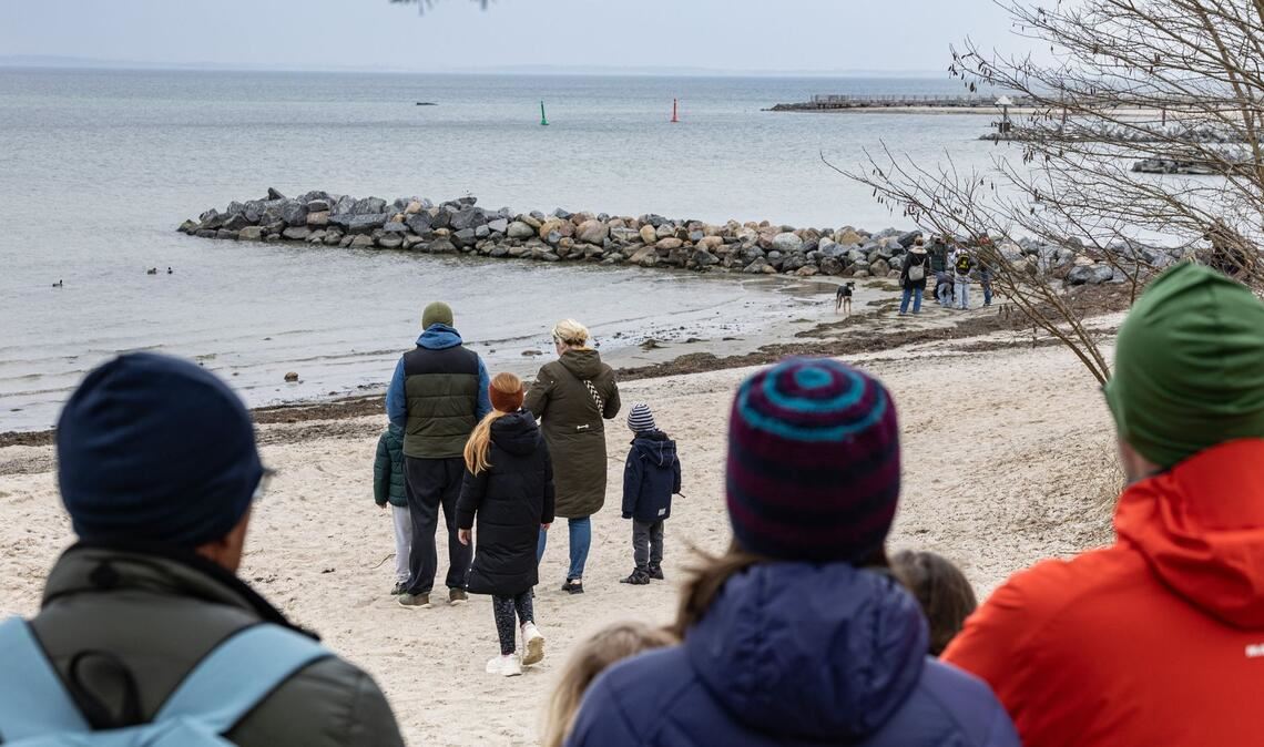 Das Schicksal des Buckelwals bewegt viele Menschen.