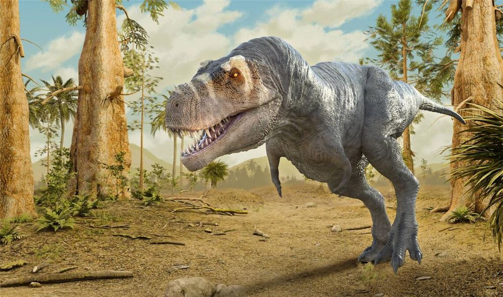 Das Schienenbein des Dinosuariers stammt aus der Kreidezeit vor etwa 74 Millionen Jahren und könnte zu einem frühen Vorfahrren des T. rex (Symbolbild) gehört haben.