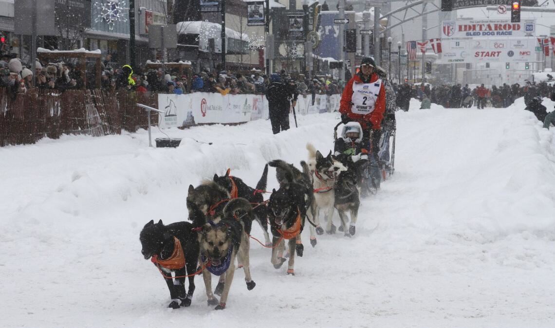 Das Schlittenhunderennen Iditarod ist gestartet.
