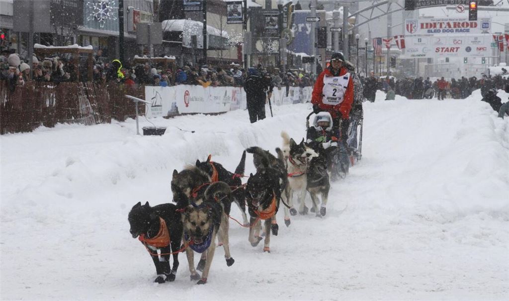 Das Schlittenhunderennen Iditarod ist gestartet.