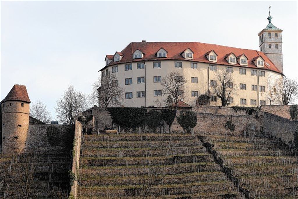 Scheidtweiler will Schloss