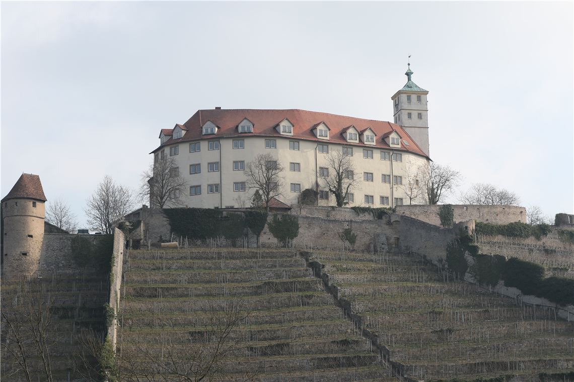 911_0008_64918_md_Schloss_Kaltenstein_Vaihingen_2