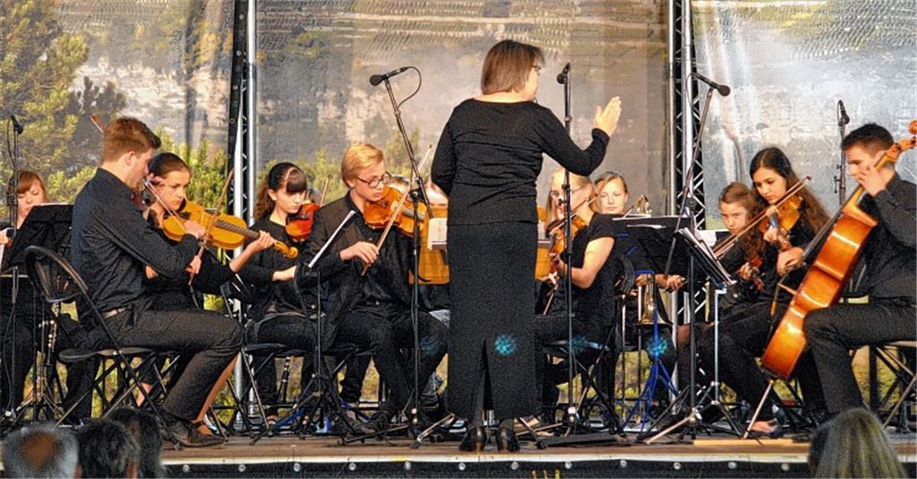 Das Schulorchester des Mühlacker Theodor-Heuss-Gymnasiums unter der Leitung von Karin Waibel.Foto: Stahlfeld