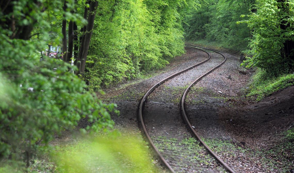 Das Stichgleis, das vor 30 Jahren beim Aktionstag eine Rolle spielte, soll nach dem Willen der Stadt Maulbronn wieder in Betrieb genommen werden - mit einem regelmäßigen Bahnverkehr. Foto: Archiv/Fotomoment